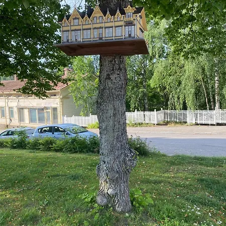 Colorful Urban Grandmas Nest