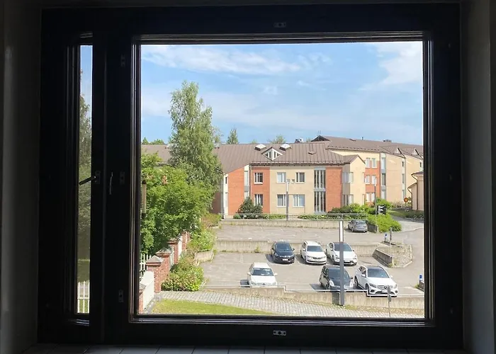 Colorful Urban Grandmas Nest