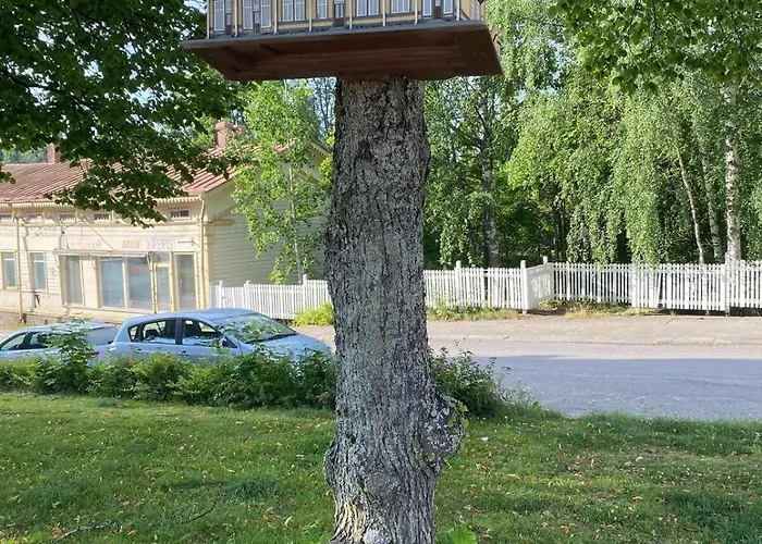 Colorful Urban Grandmas Nest